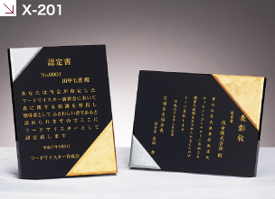 別注品 X-201